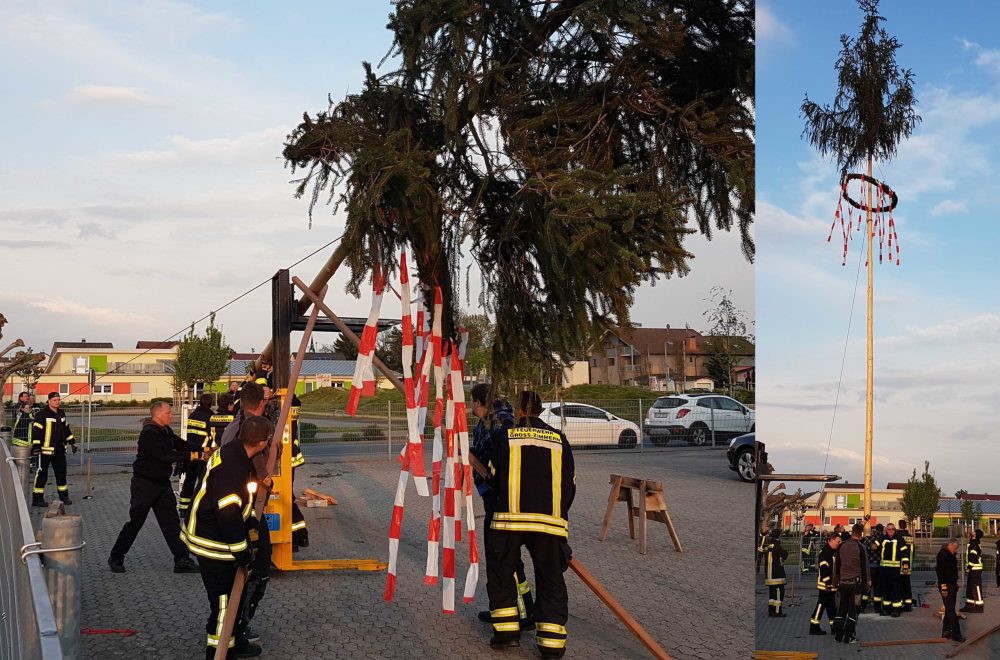 Maibaum_steht.jpg